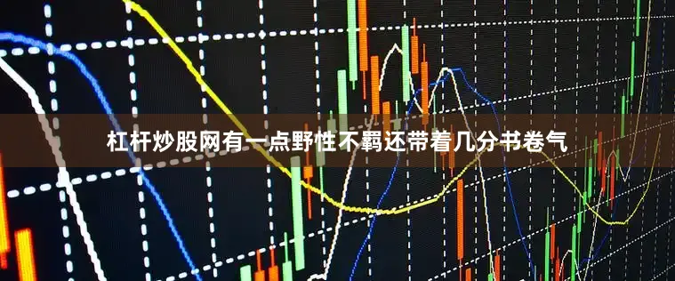 杠杆炒股网有一点野性不羁还带着几分书卷气