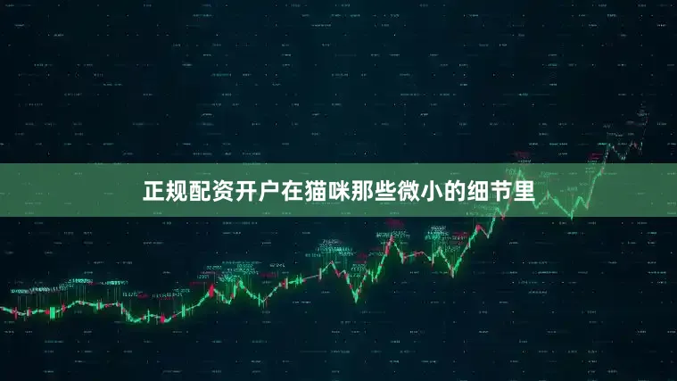 正规配资开户在猫咪那些微小的细节里