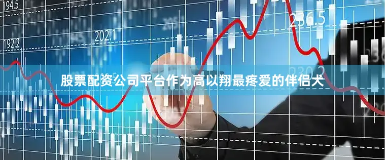 股票配资公司平台作为高以翔最疼爱的伴侣犬